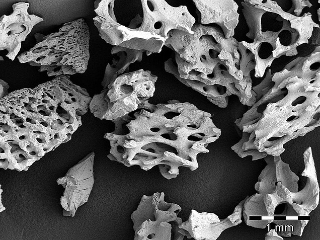 MaxOss-P_3_MatrixOss_klein_21x