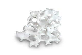 BIS_naturesQues_MaxOss_P_Particle