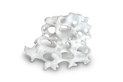 BIS_naturesQues_MaxOss_P_Particle