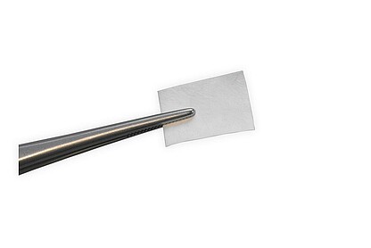 BIS_naturesQues_ColTect_P_pur_forceps_01