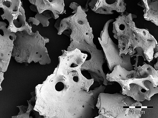 SemOss-B_2_Smartbone_gross_21x