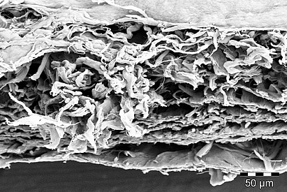 BIS_naturesQues_ColTect-P_5_Membran_300x_gekippt-45