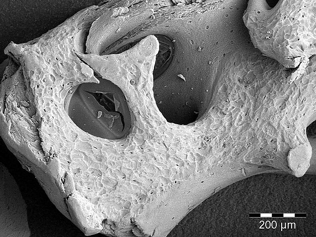 SemOss-B_1_Smartbone_klein_100x_2