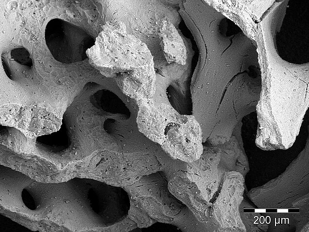 MaxOss-P_3_MatrixOss_klein_100x