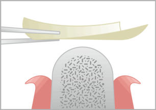 BIS_naturesQues_ColTect-P_Hand-Hapt_1